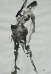 Gestural Pose